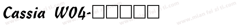 Cassia W04字体转换